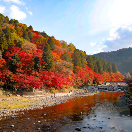 展示情報 | 三州足助・香嵐渓の情報をお届けします